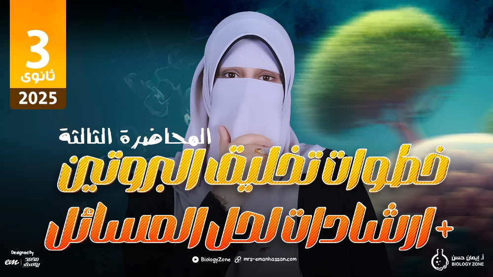 3️⃣ المحاضرة الثالثة - محاضرة خطوات تخليق البروتين وإرشادات لحل المسائل 🍉